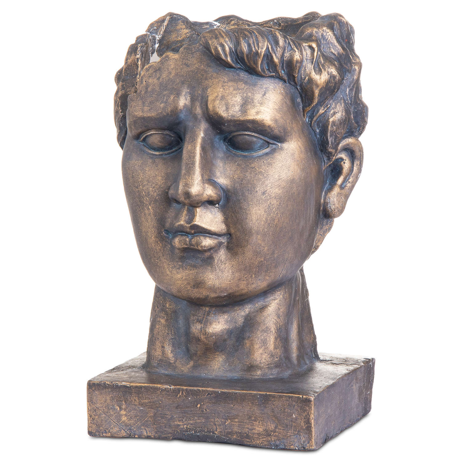 Antique Bronze Roman Head Planter Indoor Outdoor-product